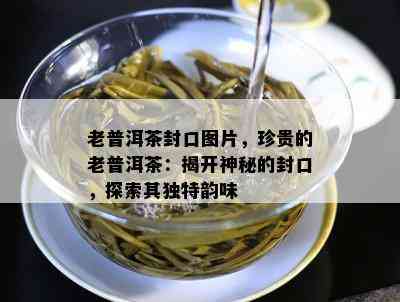 老普洱茶封口图片，珍贵的老普洱茶：揭开神秘的封口，探索其独特韵味