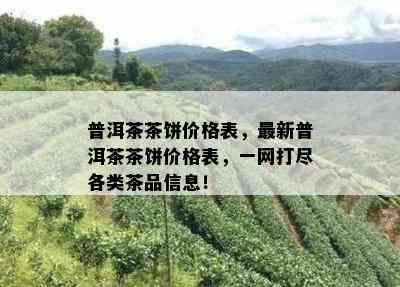 普洱茶茶饼价格表，最新普洱茶茶饼价格表，一网打尽各类茶品信息！