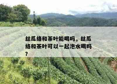 丝瓜络和茶叶能喝吗，丝瓜络和茶叶可以一起泡水喝吗？