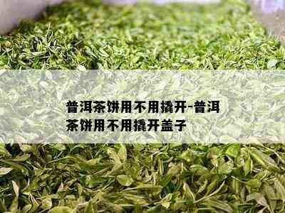 普洱茶饼用不用撬开-普洱茶饼用不用撬开盖子