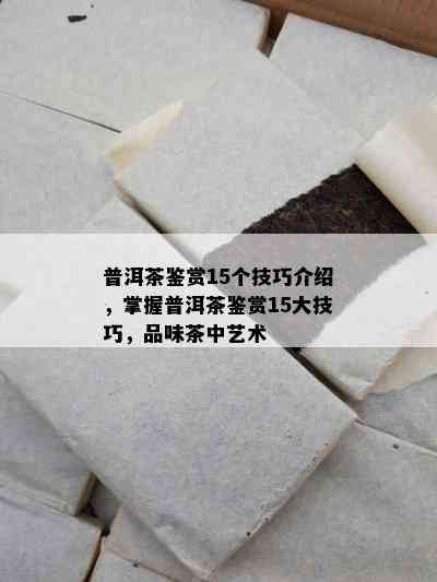 普洱茶鉴赏15个技巧介绍，掌握普洱茶鉴赏15大技巧，品味茶中艺术