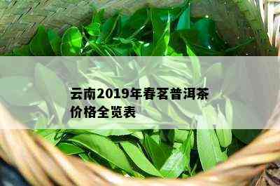 云南2019年春茗普洱茶价格全览表