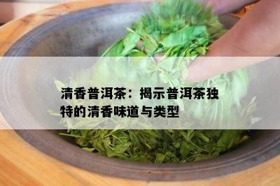 清香普洱茶：揭示普洱茶独特的清香味道与类型