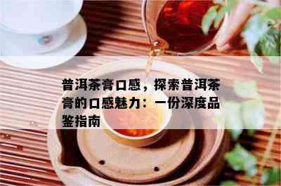 普洱茶膏口感，探索普洱茶膏的口感魅力：一份深度品鉴指南