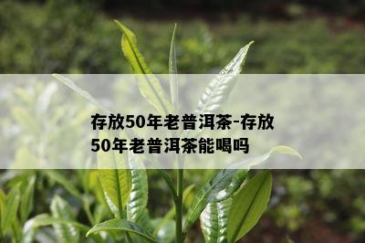 存放50年老普洱茶-存放50年老普洱茶能喝吗