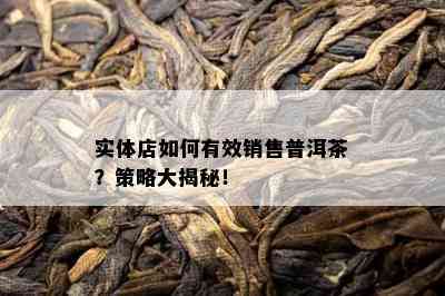 实体店怎样有效销售普洱茶？策略大揭秘！