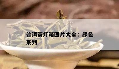 普洱茶灯箱图片大全：绿色系列