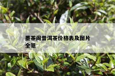 墨茶阁普洱茶价格表及图片全览