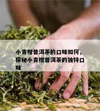 小青柑普洱茶的口味怎样，探秘小青柑普洱茶的特别口味