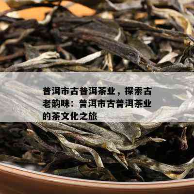 普洱市古普洱茶业，探索古老韵味：普洱市古普洱茶业的茶文化之旅