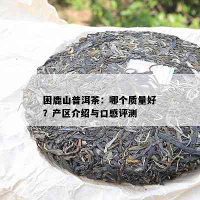 困鹿山普洱茶：哪个品质好？产区介绍与口感评测