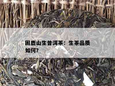 困鹿山生普洱茶：生茶品质怎样？