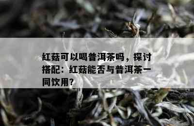 红菇可以喝普洱茶吗，探讨搭配：红菇能否与普洱茶一同饮用？