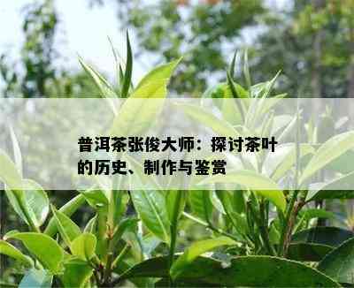 普洱茶张俊大师：探讨茶叶的历史、制作与鉴赏