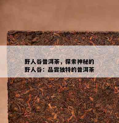 野人谷普洱茶，探索神秘的野人谷：品尝特别的普洱茶