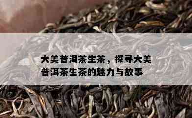 大美普洱茶生茶，探寻大美普洱茶生茶的魅力与故事