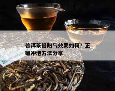 普洱茶提阳气效果怎样？正确冲泡方法分享