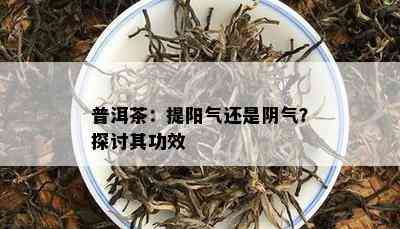 普洱茶：提阳气还是阴气？探讨其功效