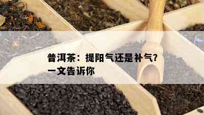 普洱茶：提阳气还是补气？一文告诉你