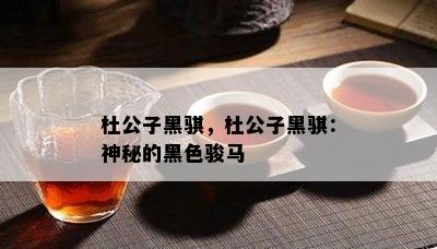 杜公子黑骐，杜公子黑骐：神秘的黑色骏马