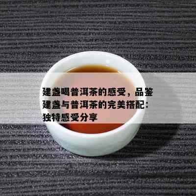 建盏喝普洱茶的感受，品鉴建盏与普洱茶的完美搭配：独特感受分享