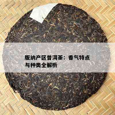 版纳产区普洱茶：香气特点与种类全解析