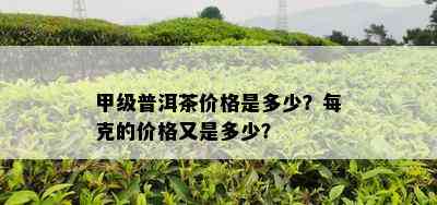 甲级普洱茶价格是多少？每克的价格又是多少？