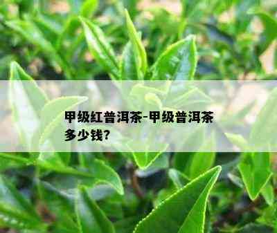 甲级红普洱茶-甲级普洱茶多少钱?