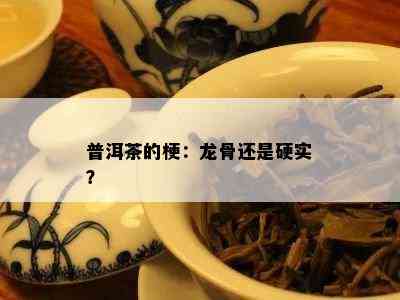 普洱茶的梗：龙骨还是硬实？