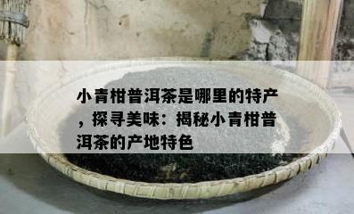 小青柑普洱茶是哪里的特产，探寻美味：揭秘小青柑普洱茶的产地特色