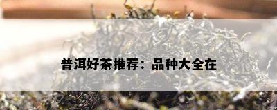 普洱好茶推荐：品种大全在