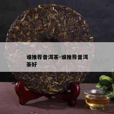 谁推荐普洱茶-谁推荐普洱茶好