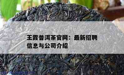 王霞普洱茶官网：最新招聘信息与公司介绍