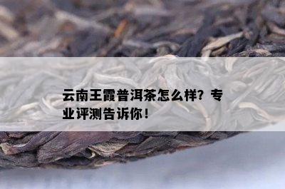 云南王霞普洱茶怎么样？专业评测告诉你！