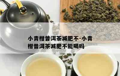 小青柑普洱茶减肥不-小青柑普洱茶减肥不能喝吗