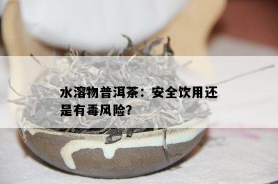 水溶物普洱茶：安全饮用还是有风险？