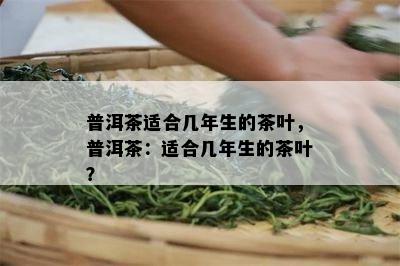 普洱茶适合几年生的茶叶，普洱茶：适合几年生的茶叶？