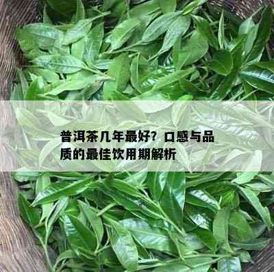 普洱茶几年更好？口感与品质的更佳饮用期解析