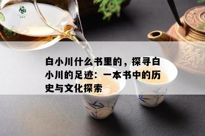 白小川什么书里的，探寻白小川的足迹：一本书中的历史与文化探索