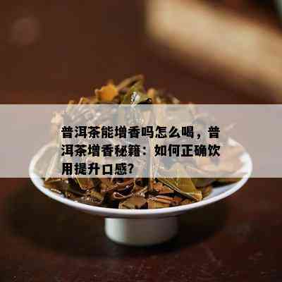 普洱茶能增香吗怎么喝，普洱茶增香秘籍：怎样正确饮用提升口感？