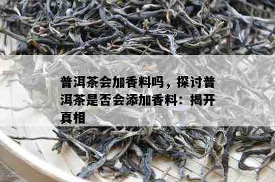 普洱茶会加香料吗，探讨普洱茶是不是会添加香料：揭开真相