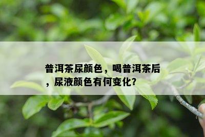 普洱茶尿颜色，喝普洱茶后，尿液颜色有何变化？