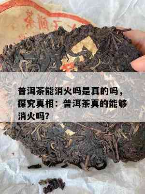 普洱茶能消火吗是真的吗，探究真相：普洱茶真的可以消火吗？