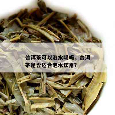 普洱茶可以泡水喝吗，普洱茶是不是适合泡水饮用？