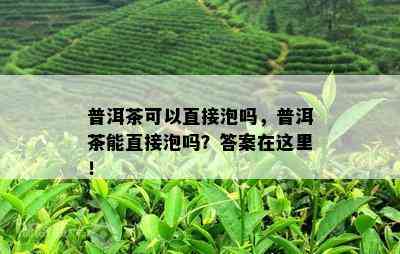 普洱茶可以直接泡吗，普洱茶能直接泡吗？答案在这里！