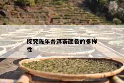 探究陈年普洱茶颜色的多样性