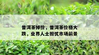 普洱茶掉价，普洱茶价格大跌，业界人士担忧市场前景