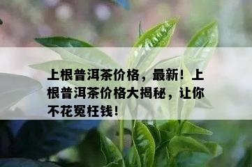 上根普洱茶价格，最新！上根普洱茶价格大揭秘，让你不花冤枉钱！