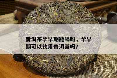 普洱茶孕早期能喝吗，孕早期可以饮用普洱茶吗？