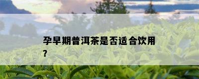 孕早期普洱茶是不是适合饮用？